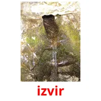 izvir picture flashcards