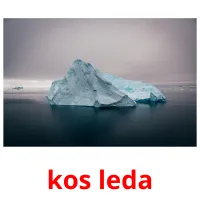 kos leda picture flashcards