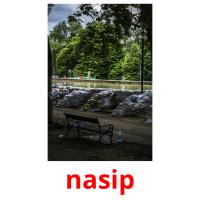 nasip picture flashcards