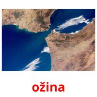 ožina picture flashcards