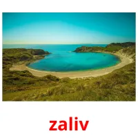 zaliv picture flashcards