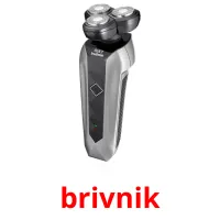brivnik picture flashcards