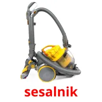 sesalnik picture flashcards
