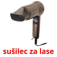 sušilec za lase picture flashcards