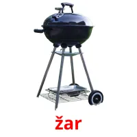 žar picture flashcards