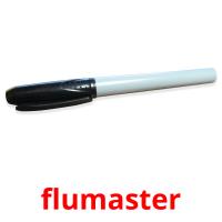 flumaster picture flashcards