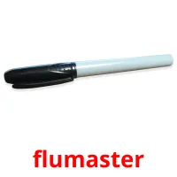 flumaster picture flashcards