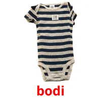 bodi picture flashcards