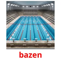 bazen flashcards illustrate
