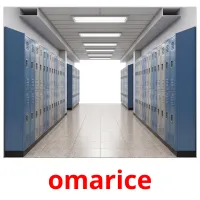 omarice flashcards illustrate