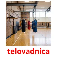telovadnica flashcards illustrate