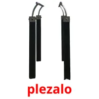 plezalo picture flashcards