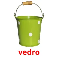 vedro picture flashcards