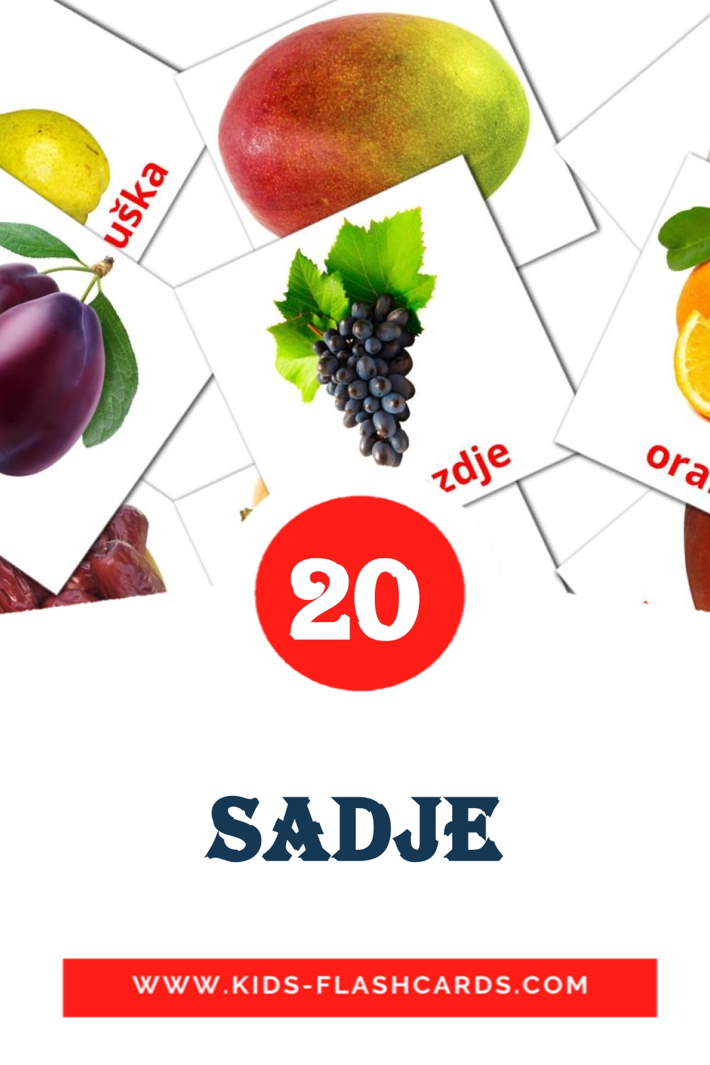 20 Sadje Picture Cards for Kindergarden in slovenian