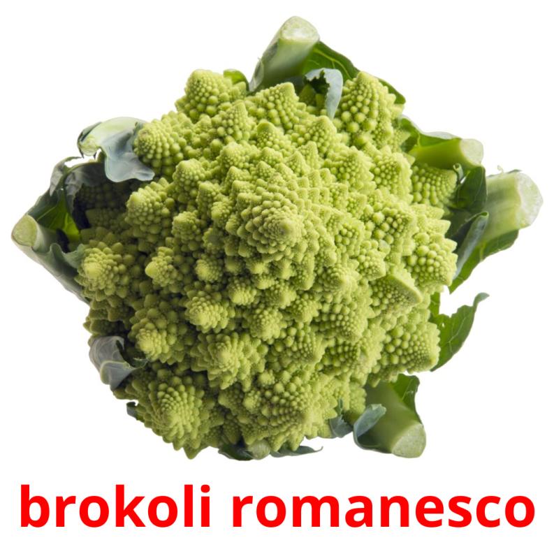 brokoli romanesco cartes flash