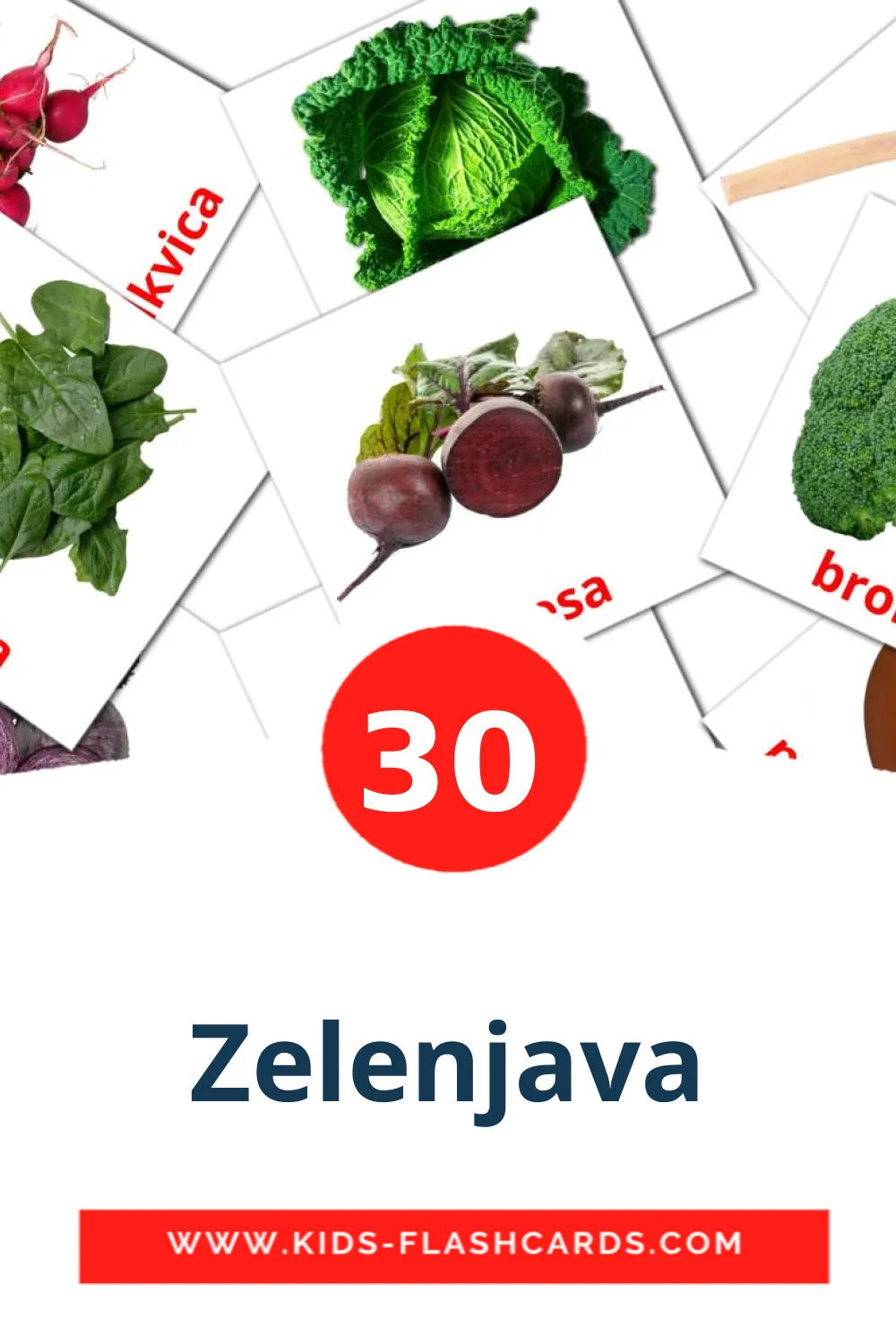 30 Zelenjava Picture Cards for Kindergarden in slovenian