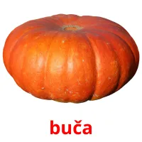 buča picture flashcards