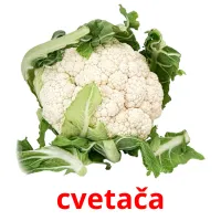 cvetača picture flashcards