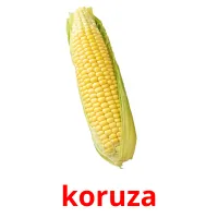 koruza picture flashcards