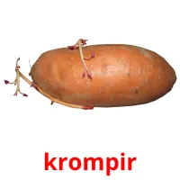 krompir picture flashcards