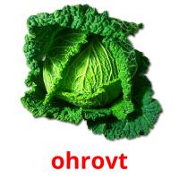 ohrovt picture flashcards
