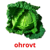 ohrovt picture flashcards