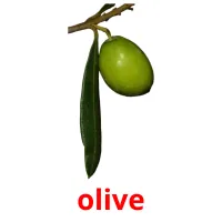 olive picture flashcards