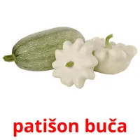 patišon buča picture flashcards