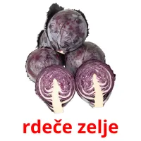 rdeče zelje picture flashcards