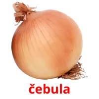 čebula picture flashcards