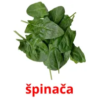 špinača picture flashcards