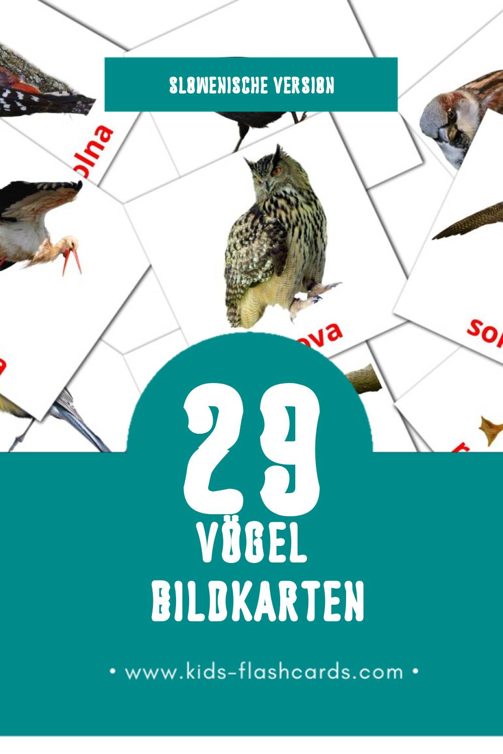 Visual Ptice Flashcards für Kleinkinder (29 Karten in Slowenisch)