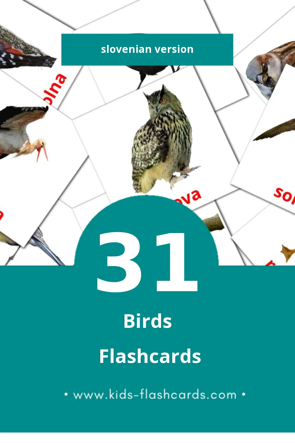 Visual Ptice Flashcards for Toddlers (31 cards in Slovenian)