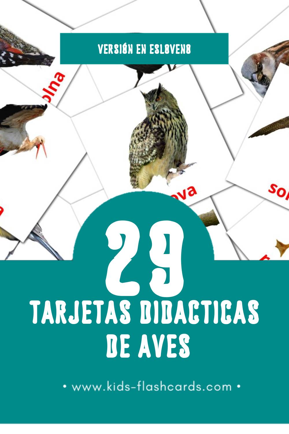 Tarjetas visuales de Ptice para niños pequeños (29 tarjetas en Esloveno)