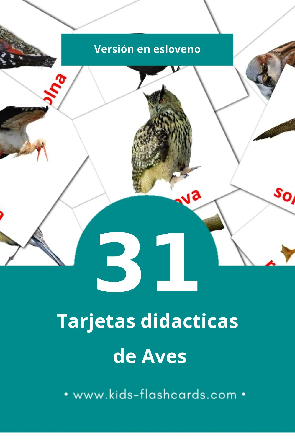 Tarjetas visuales de Ptice para niños pequeños (31 tarjetas en Esloveno)