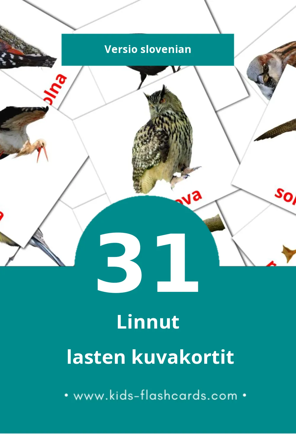 Ptice lasten kuvakortit pikkulapsille (31 korttia Slovenianksi)