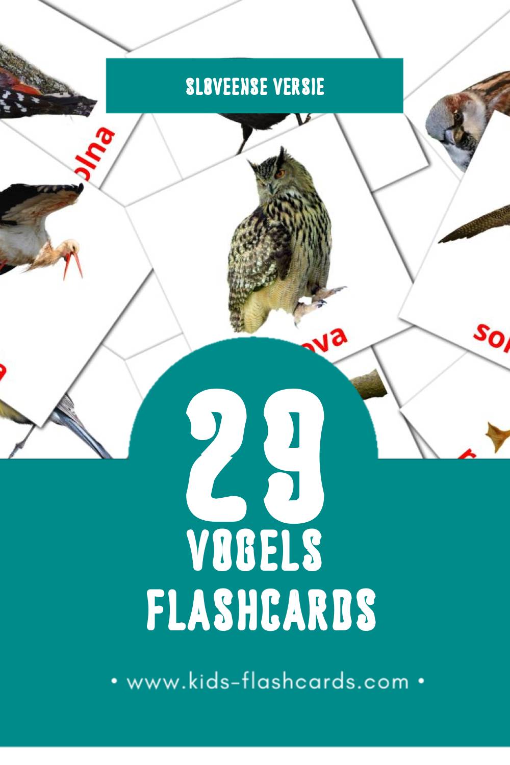 Visuele Ptice Flashcards voor Kleuters (29 kaarten in het Sloveens)