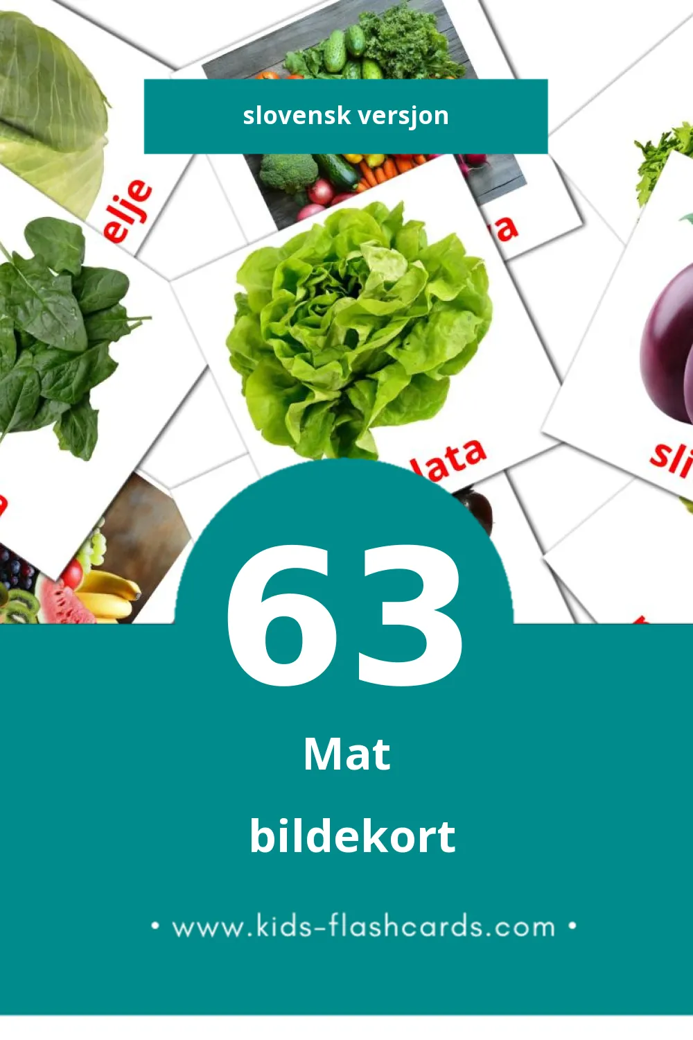Visual Quarto Flashcards for Toddlers (63 cards in Slovensk)