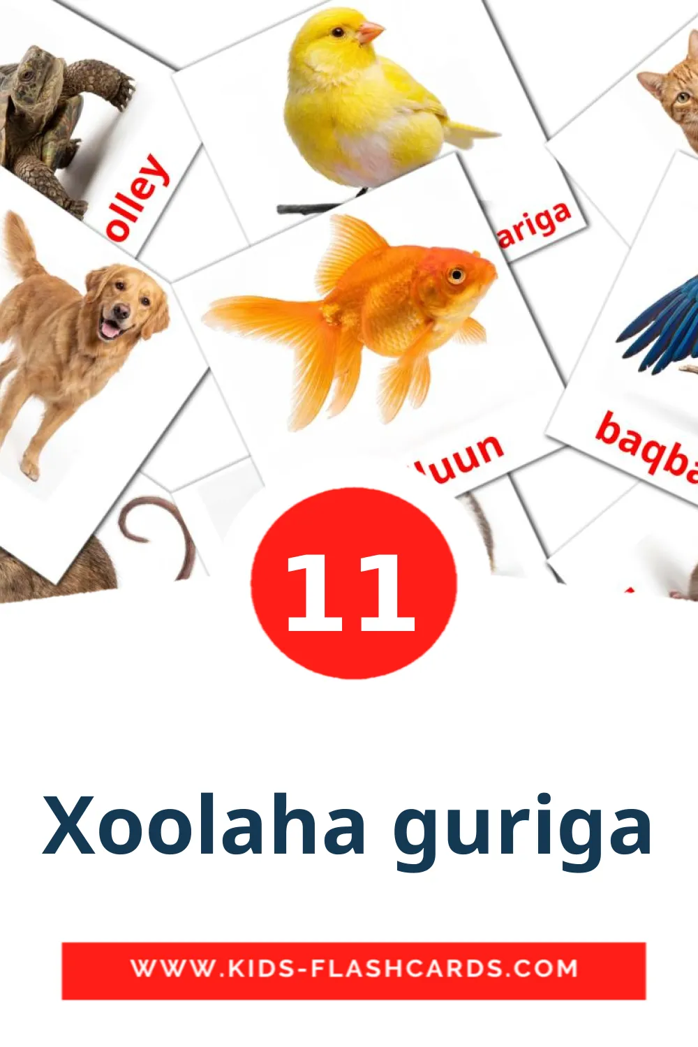 11 Xoolaha guriga Picture Cards for Kindergarden in somali