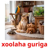 xoolaha guriga picture flashcards
