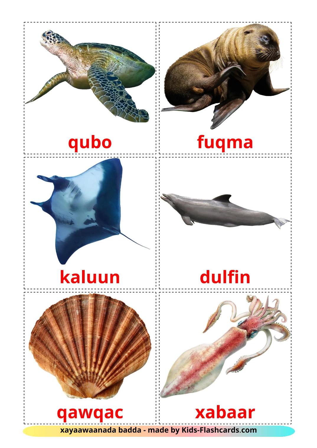 Sea animals - 30 Free Printable serbe Flashcards