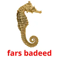 fars badeed picture flashcards