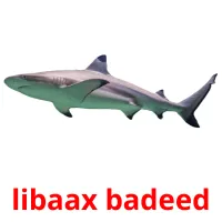libaax badeed picture flashcards