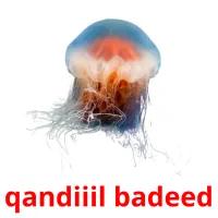 qandiiil badeed picture flashcards