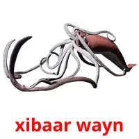 xibaar wayn picture flashcards