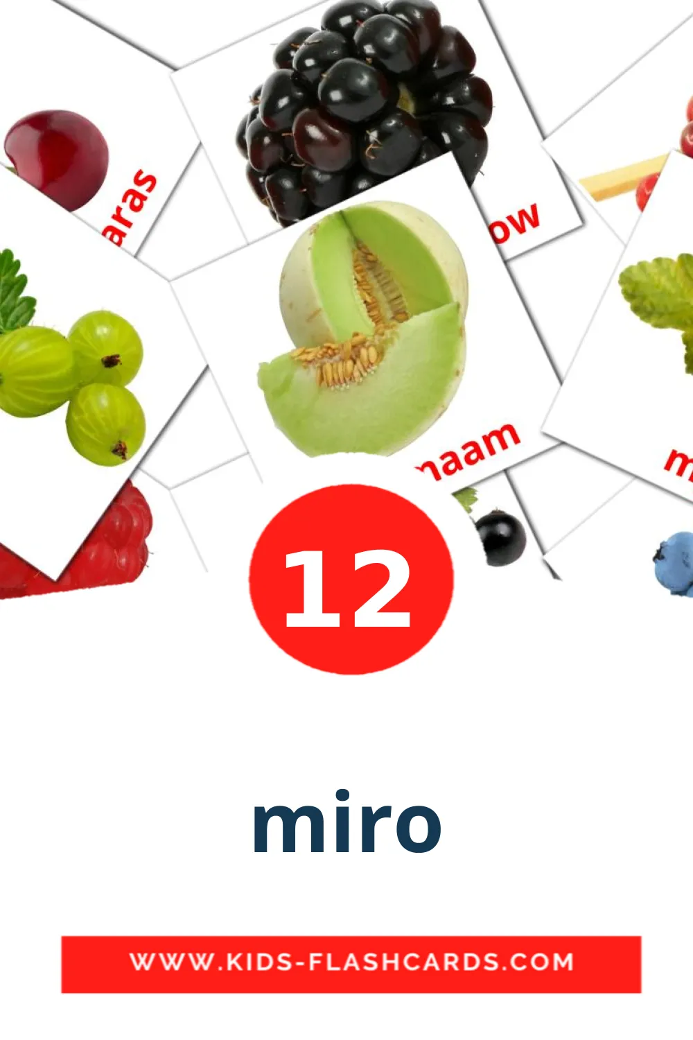 12 carte illustrate di miro per la scuola materna in somalo