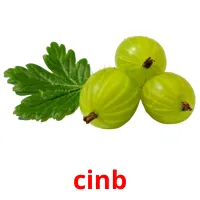 cinb flashcards illustrate