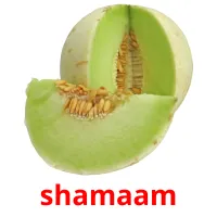 shamaam flashcards illustrate