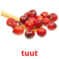 tuut flashcards illustrate