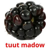 tuut madow flashcards illustrate